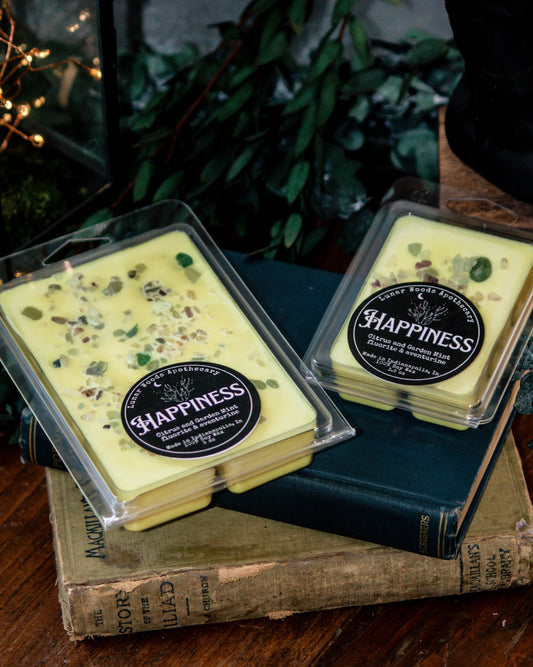 Happiness — Witchy Wax Melts