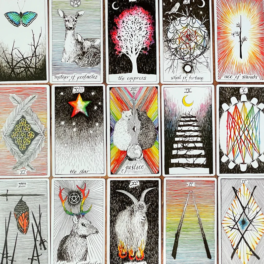 The Wild Unknown Tarot Card Deck