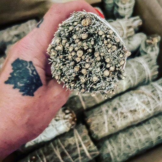 Blue Sage Smudge Stick: Ethically Sourced Cleansing Bundle