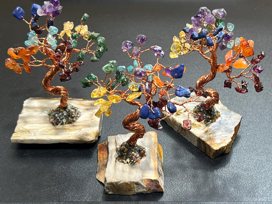 Gemstone Crystal Bonsai Tree (7-Stones)(Petrified Wood Base Carving)