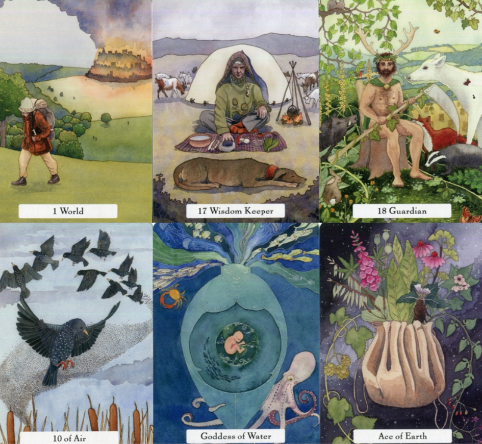 The Witches’ Wisdom Tarot Deck