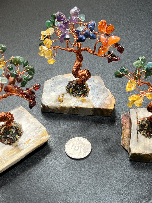 Gemstone Crystal Bonsai Tree (7-Stones)(Petrified Wood Base Carving)
